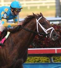 Along with the standard 126 lbs, Eskendereya will be saddled with The Todd's losing and streak and Zayat's karma.